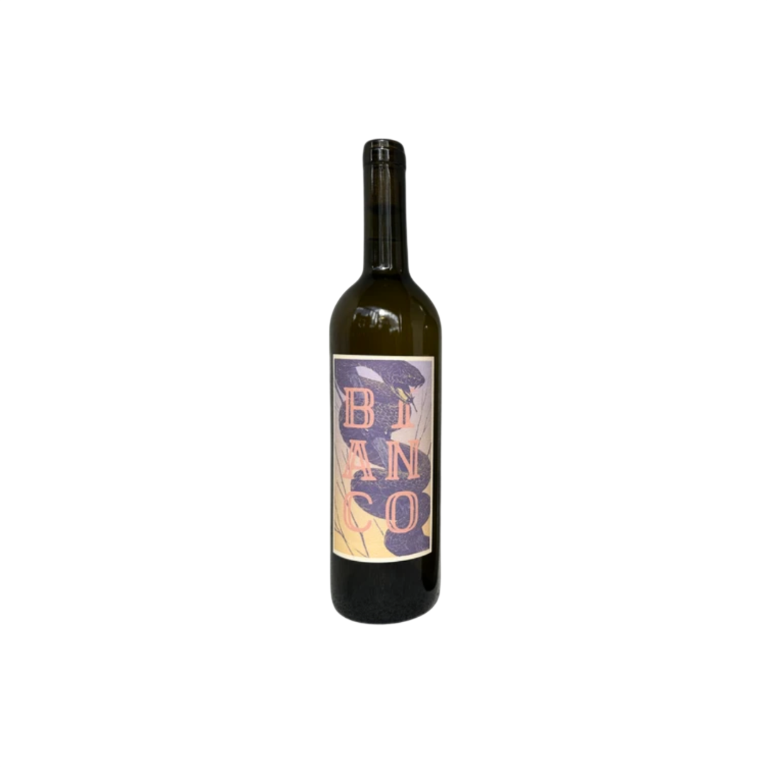 Momento Mori Bianco 2024