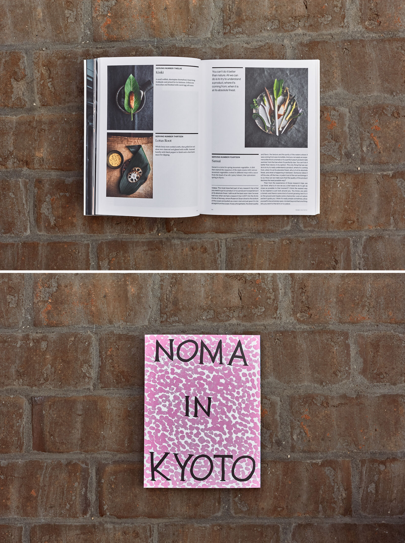 Noma in Kyoto